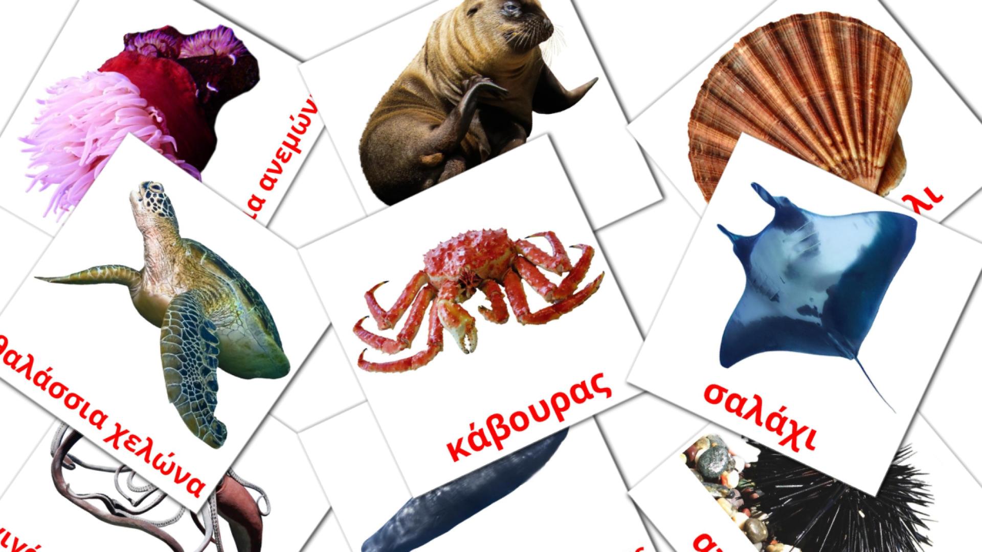 tarjetas didacticas de θαλάσσια ζώα