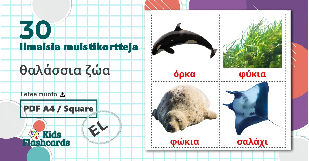 30 θαλάσσια ζώα lasten kuvakortit