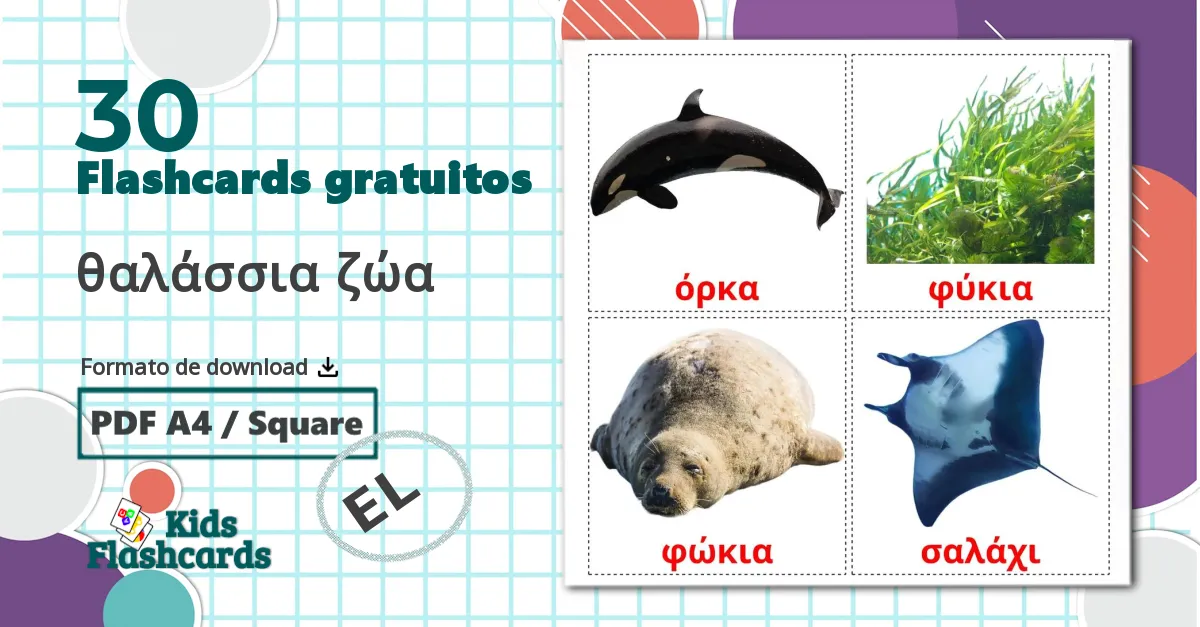 30 Flashcards de θαλάσσια ζώα