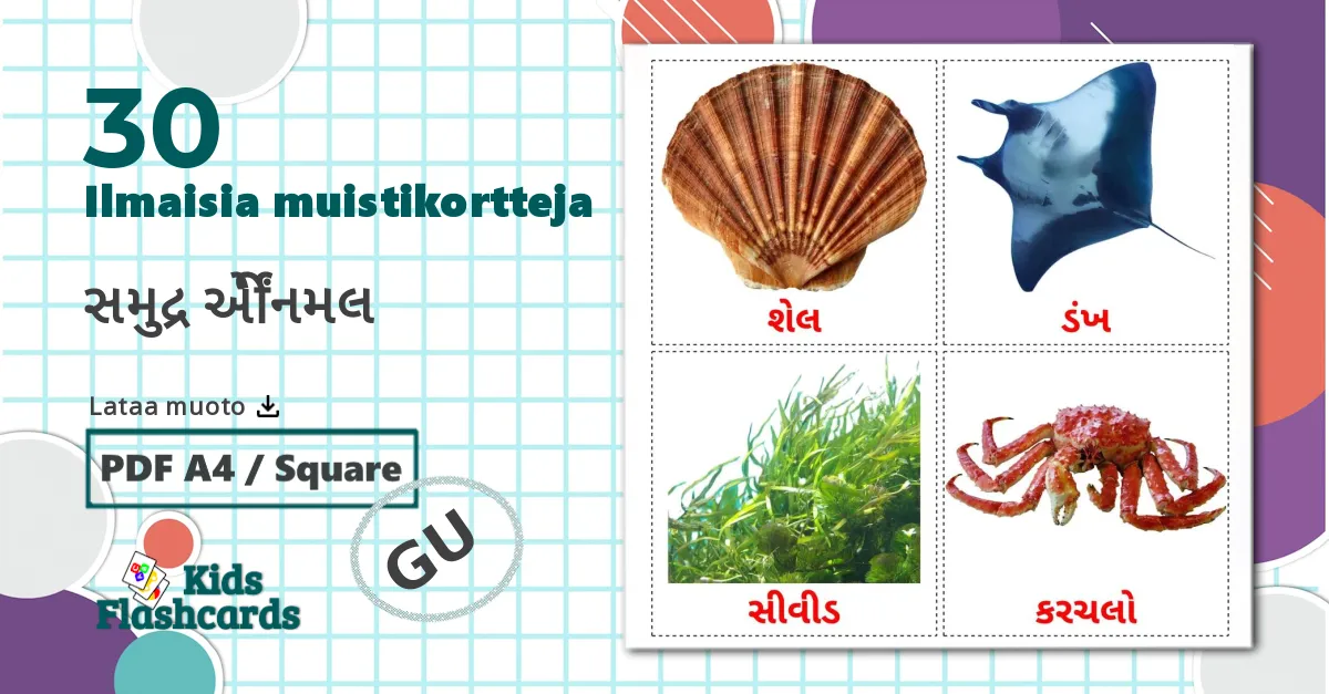 30 સમુદ્ર એનિમલ lasten kuvakortit