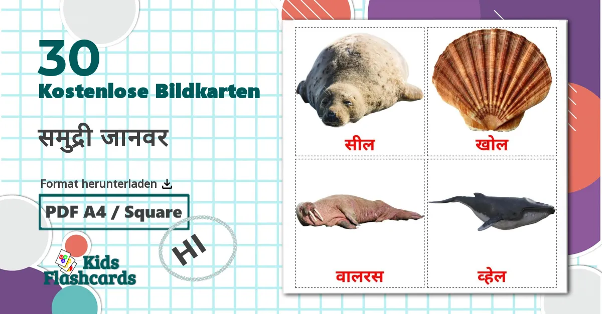 30 Bildkarten für समुद्री जानवर