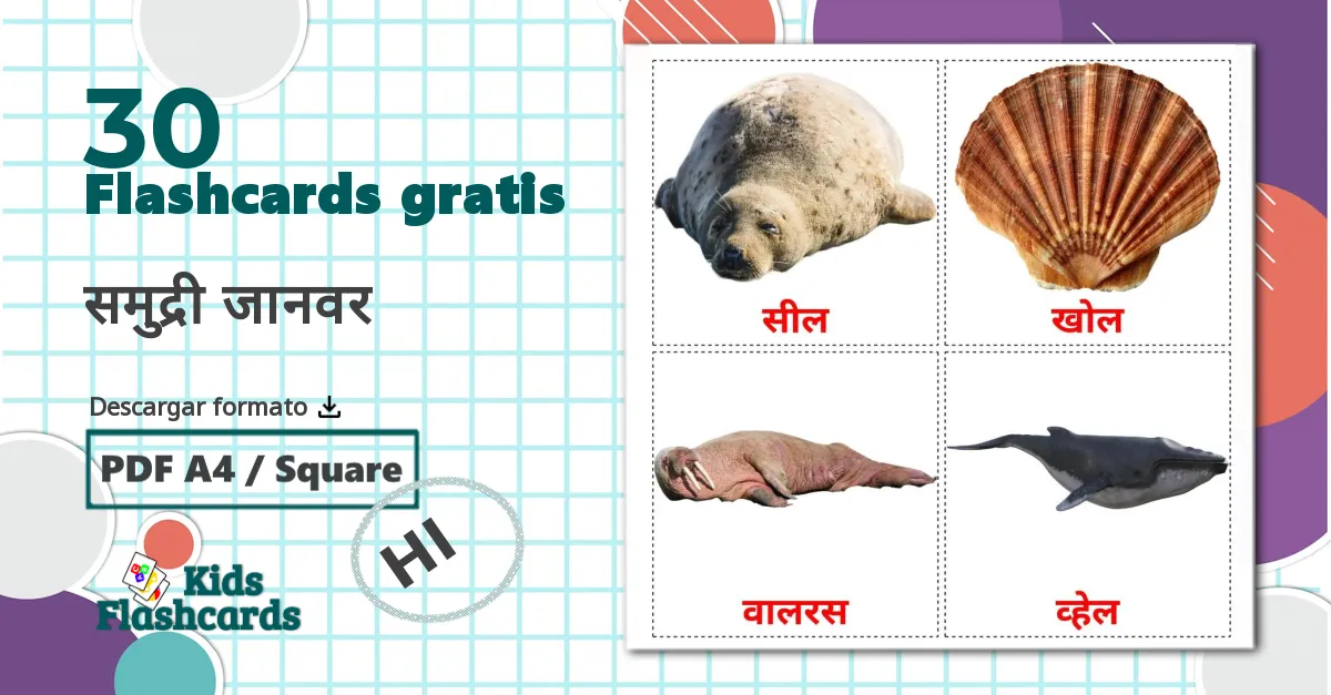 30 tarjetas didacticas de समुद्री जानवर