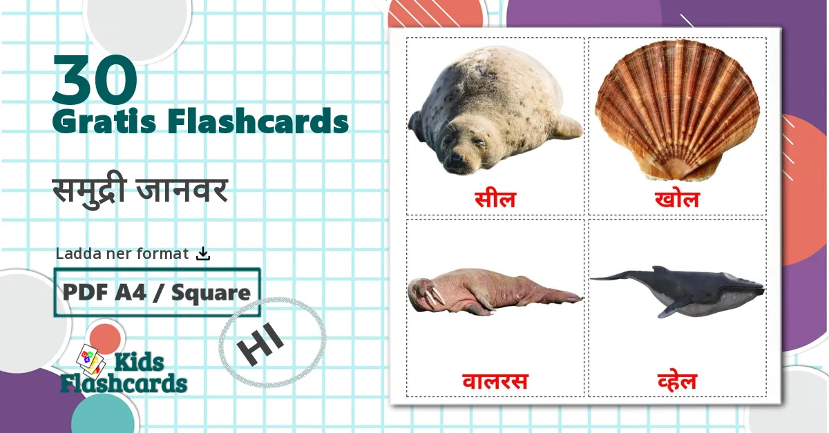 30 समुद्री जानवर bildkort för barn