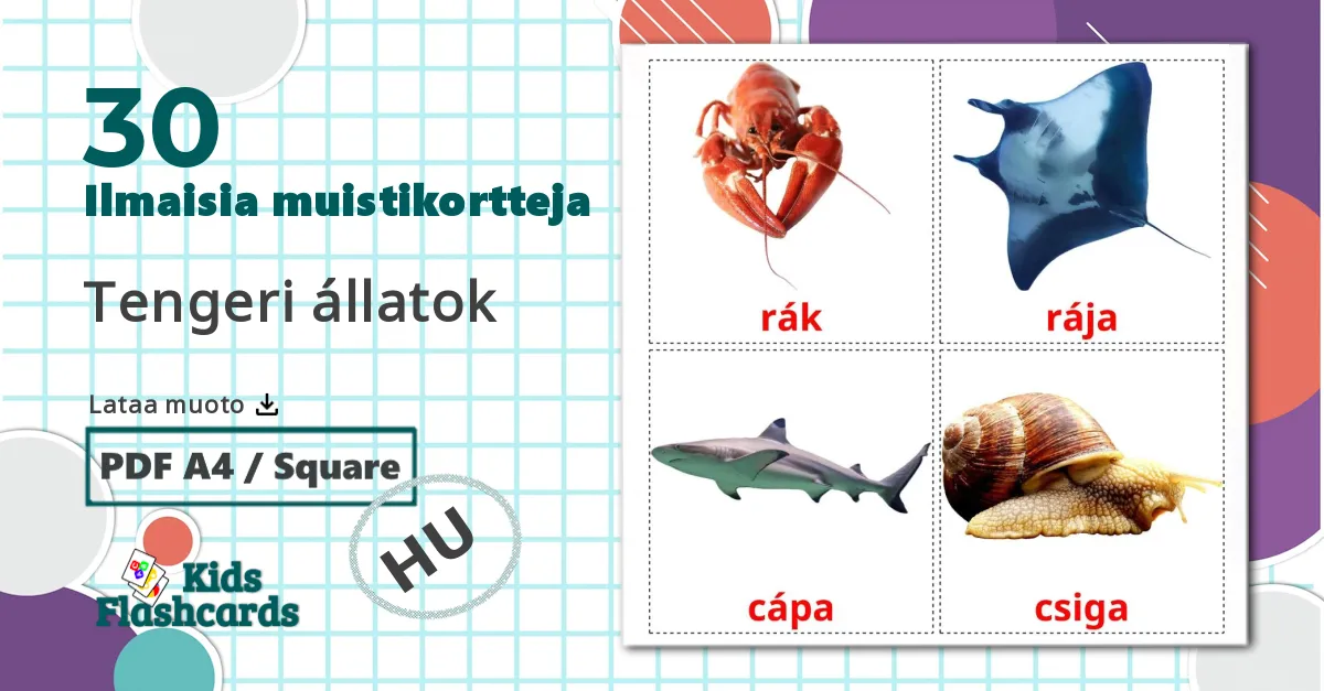 30 Tengeri állatok lasten kuvakortit