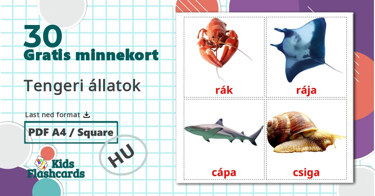 30 Tengeri állatok bildekort