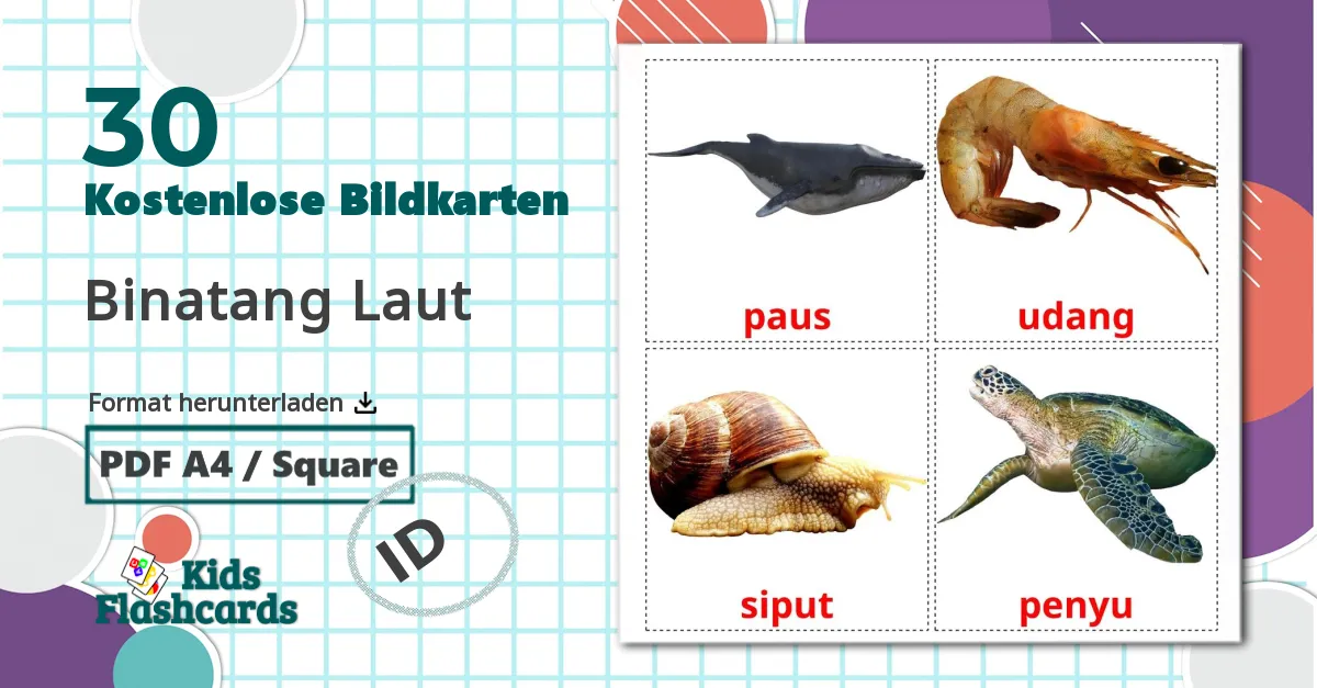 30 Bildkarten für Binatang Laut