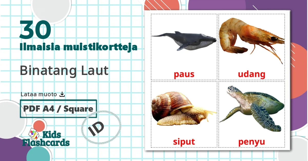 30 Binatang Laut lasten kuvakortit