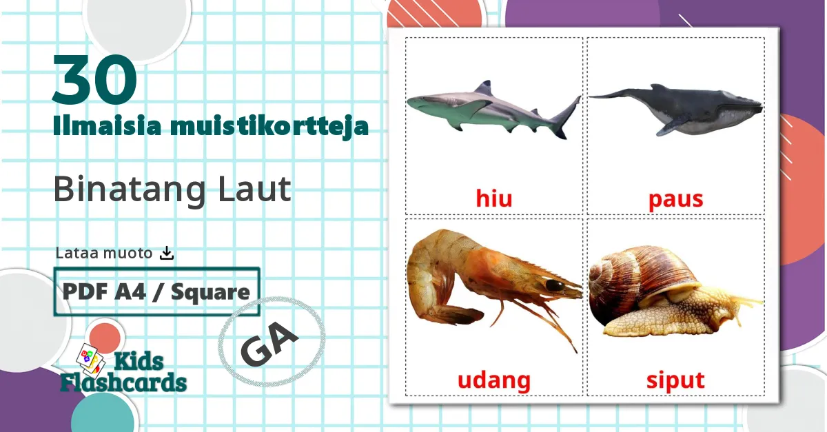 30 Binatang Laut lasten kuvakortit