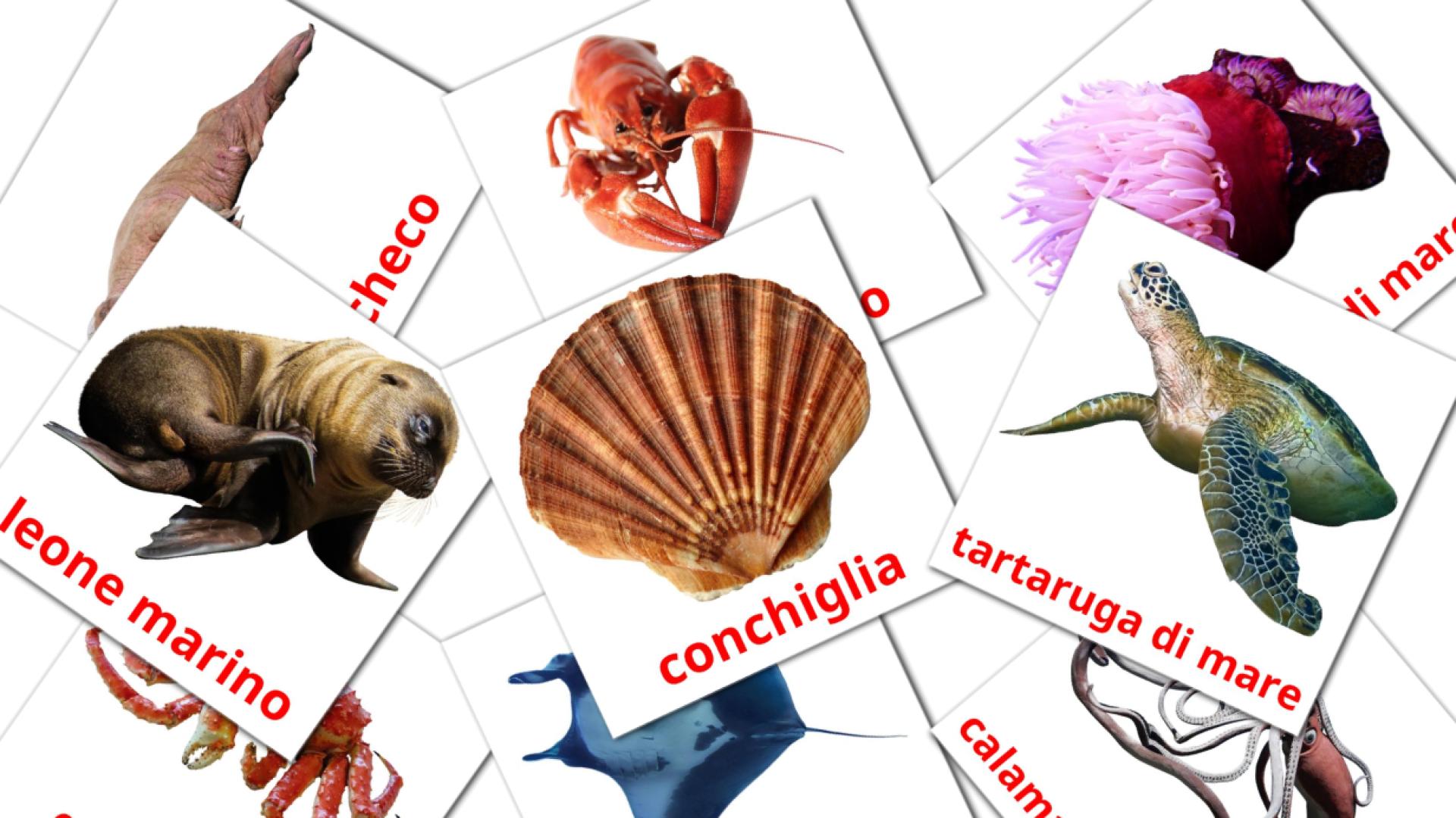 Bildkarten für Animali marini
