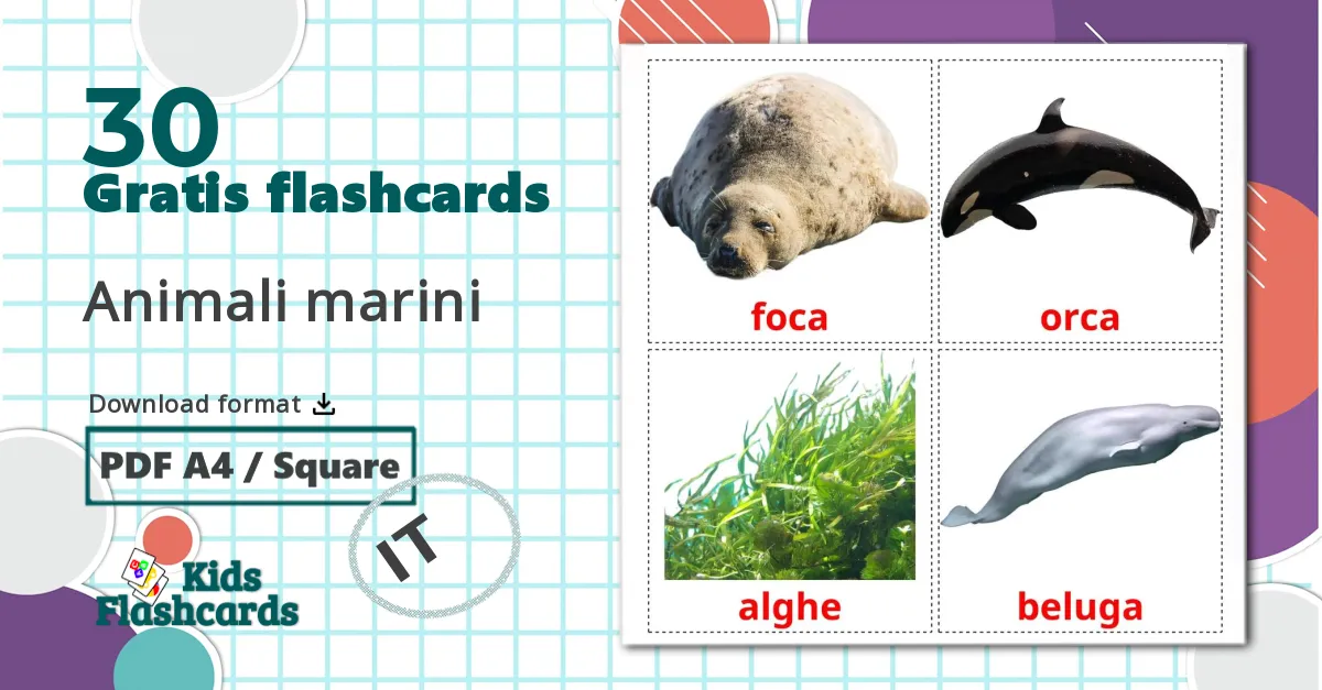 30 Animali marini billedkort for børn