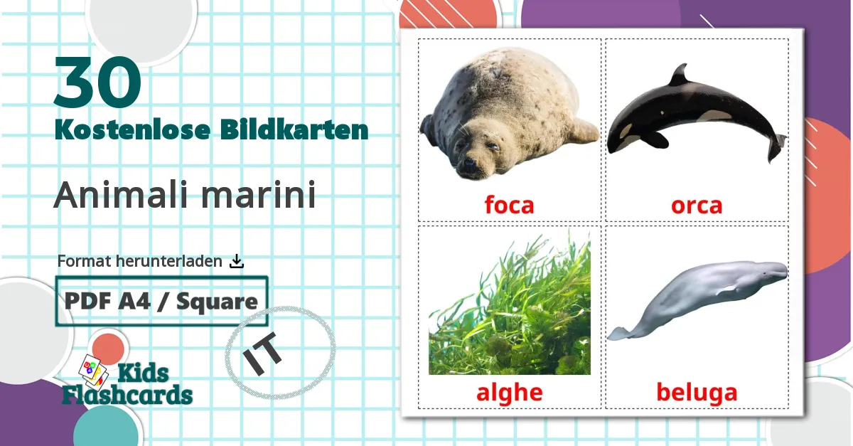 30 Bildkarten für Animali marini