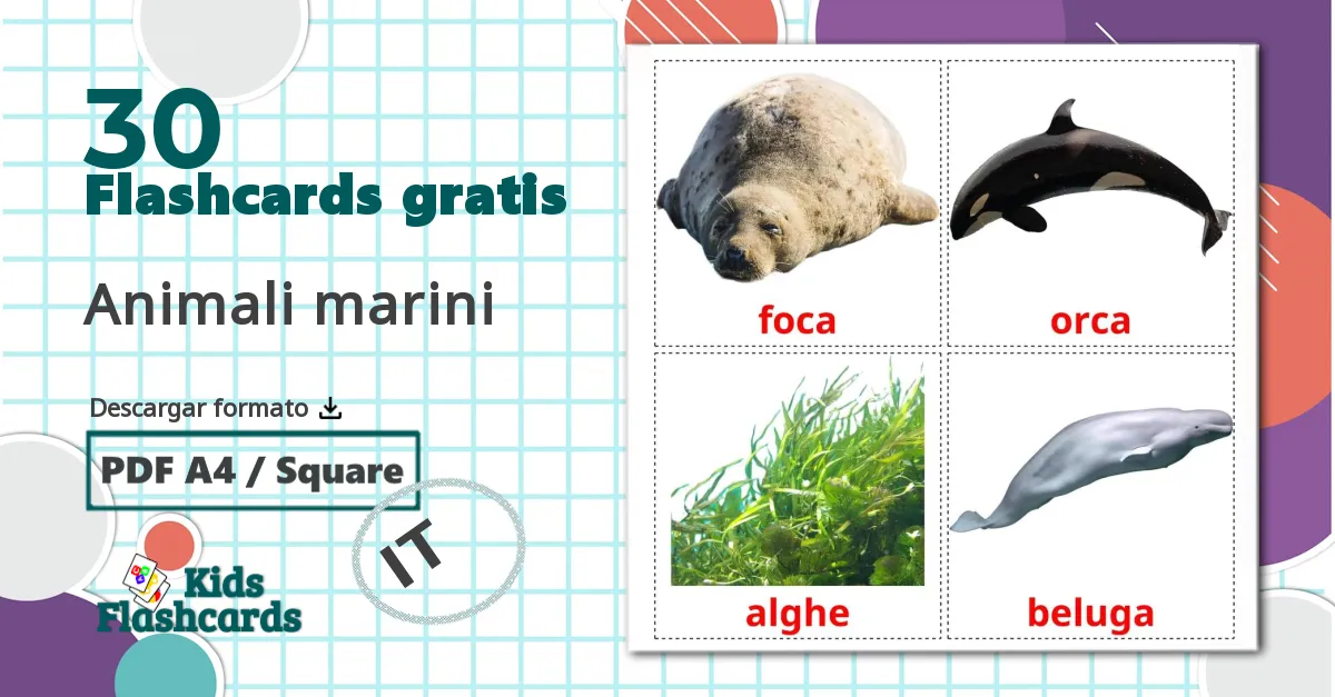 30 tarjetas didacticas de Animali marini