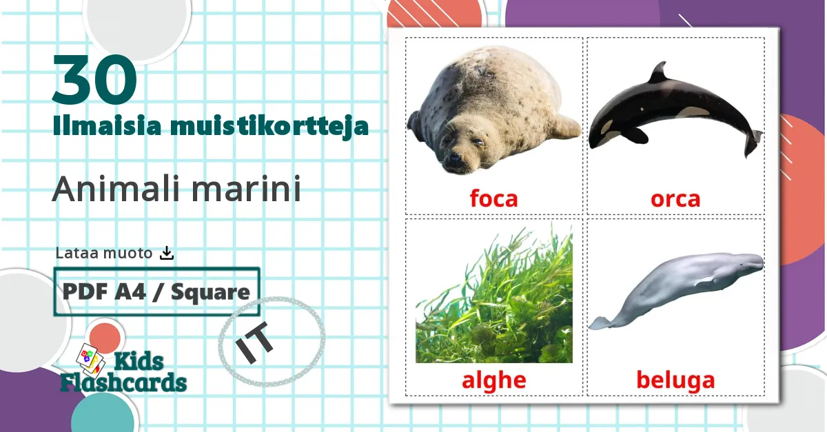 30 Animali marini lasten kuvakortit