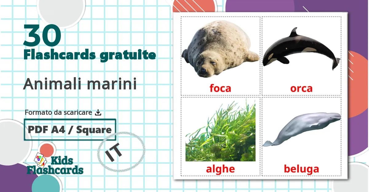 30 flashcards di Animali marini