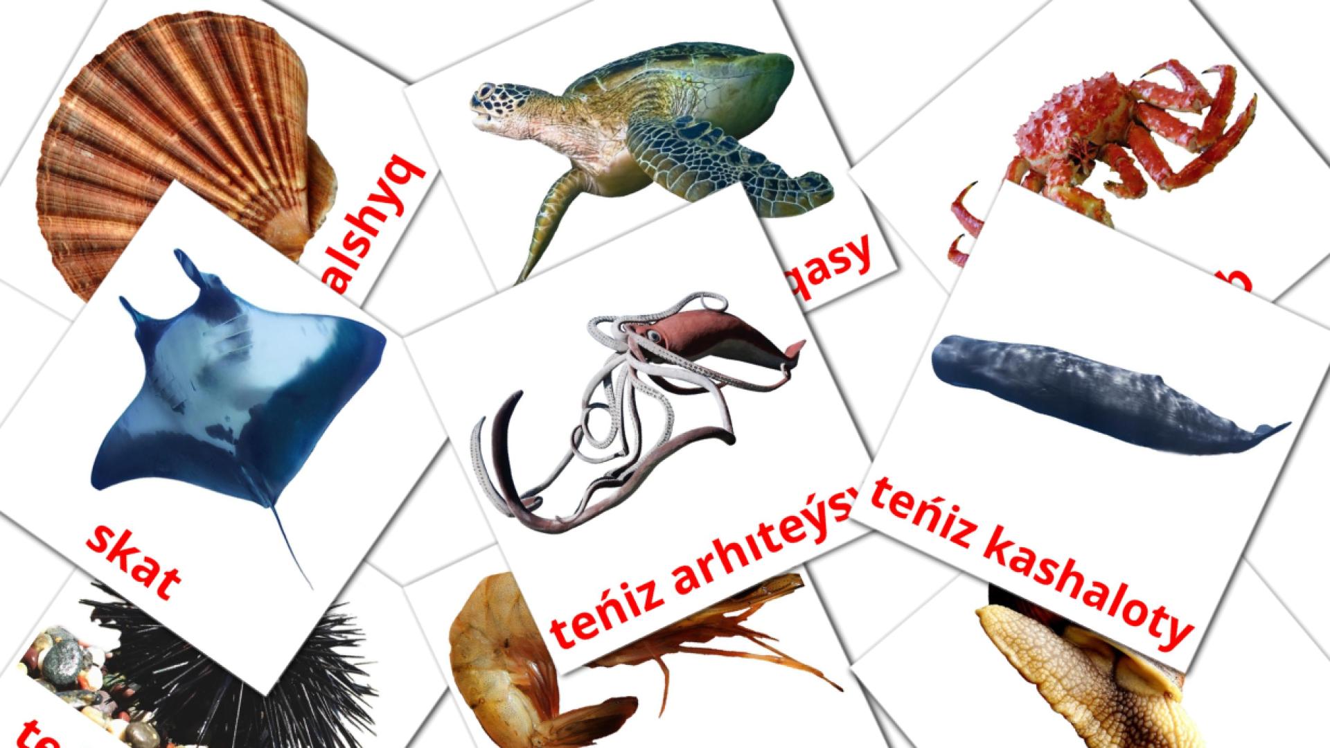 Bildkarten für Teńіz janýarlary