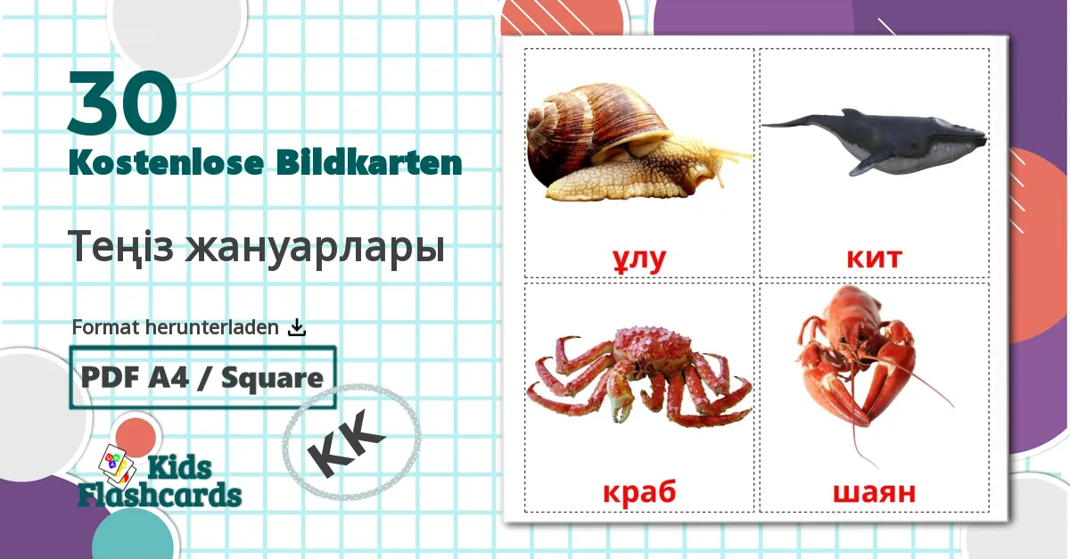 30 Bildkarten für Теңіз жануарлары