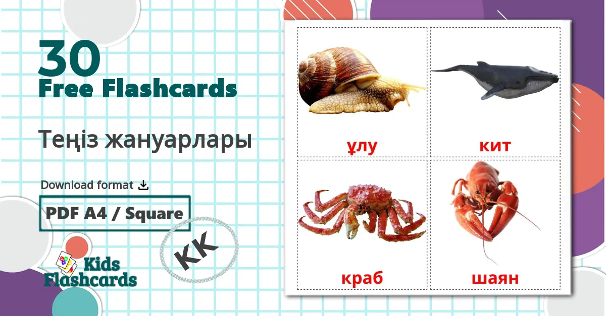 30 Теңіз жануарлары flashcards