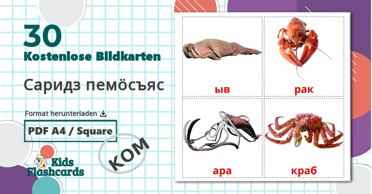 30 Bildkarten für Саридз пемöсъяс