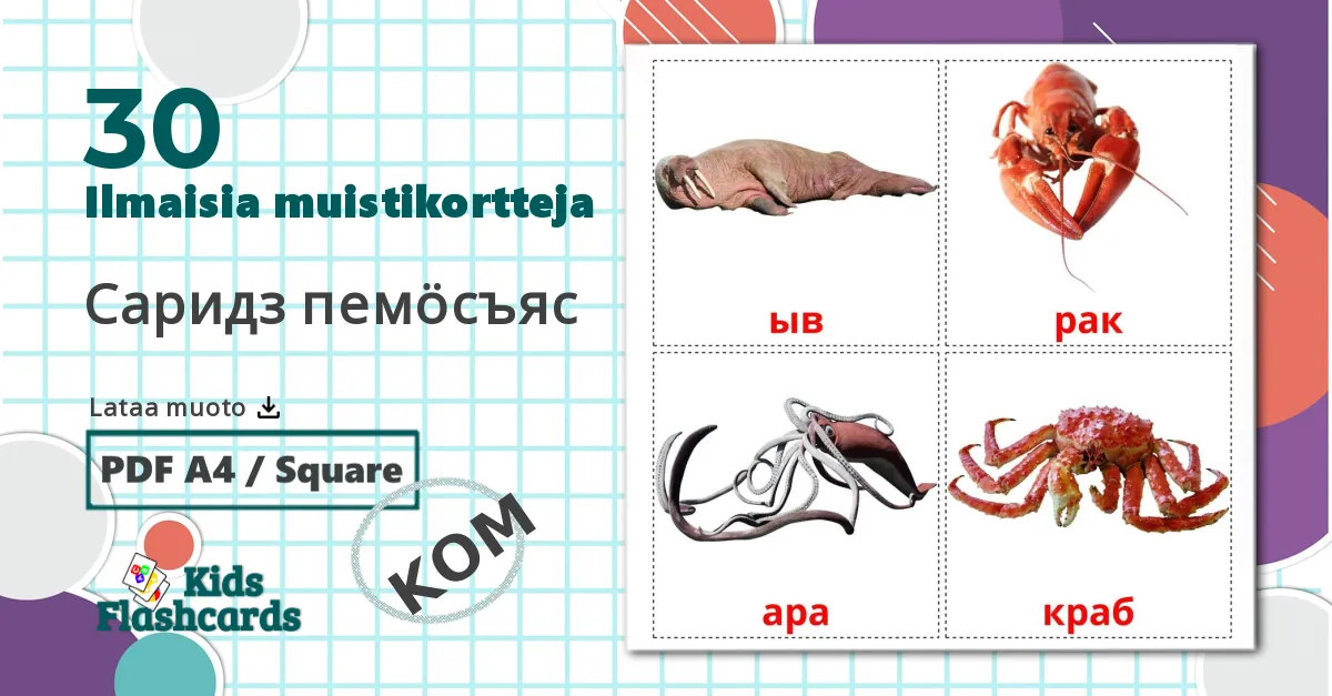 30 Саридз пемöсъяс lasten kuvakortit