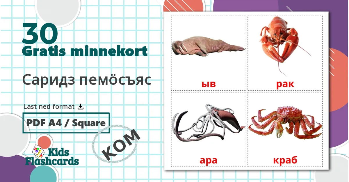 30 Саридз пемöсъяс bildekort