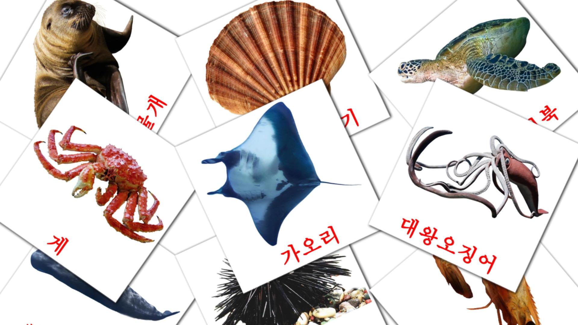 Bildkarten für 바다동물