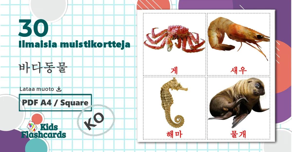 30 바다동물 lasten kuvakortit