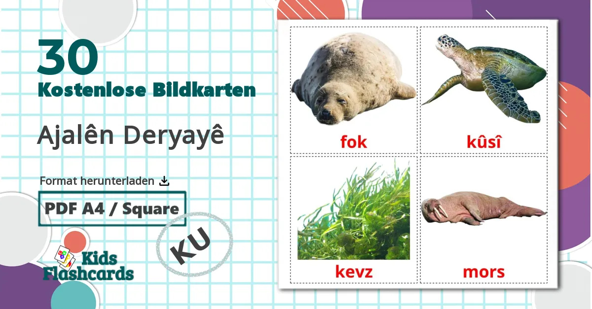 30 Bildkarten für Ajalên Deryayê