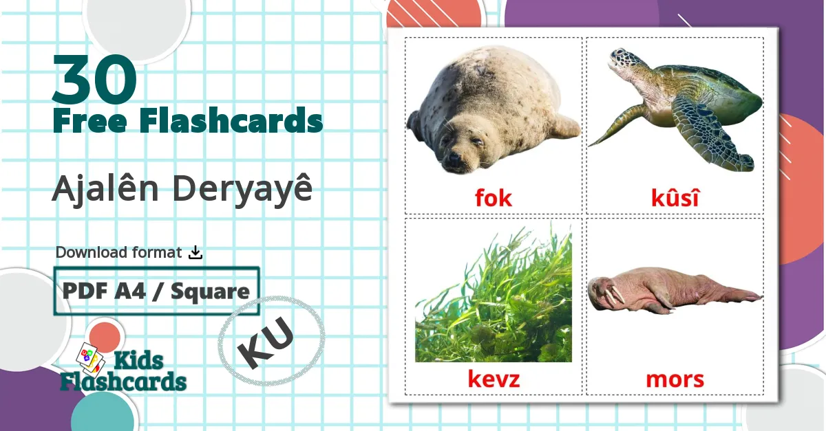 30 Ajalên Deryayê flashcards