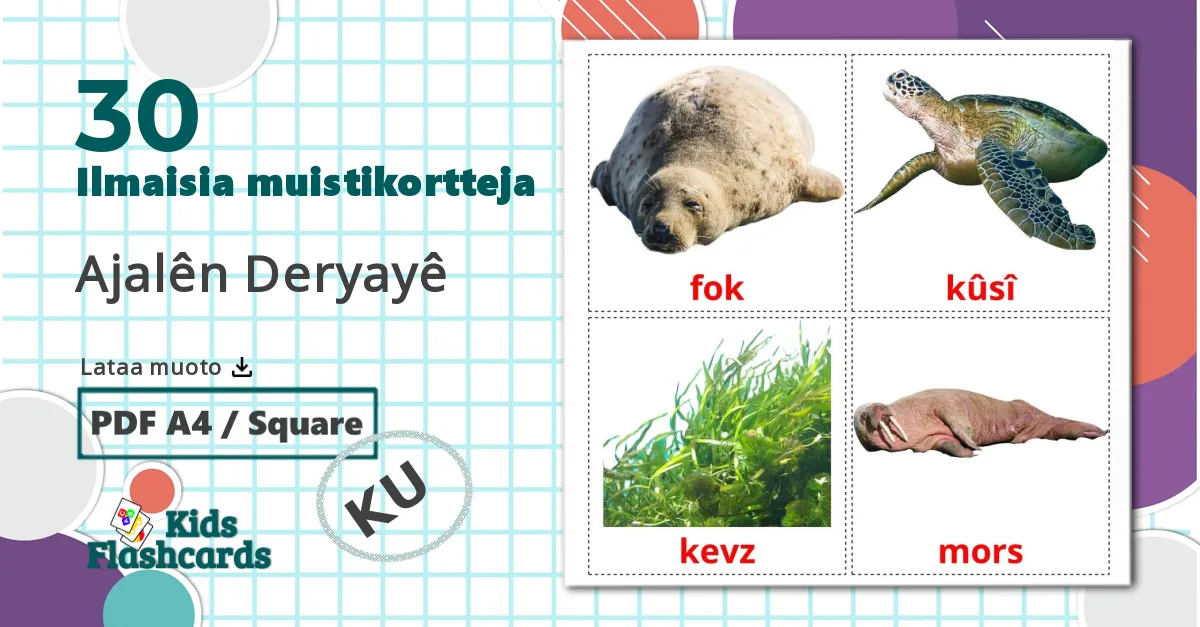 30 Ajalên Deryayê lasten kuvakortit
