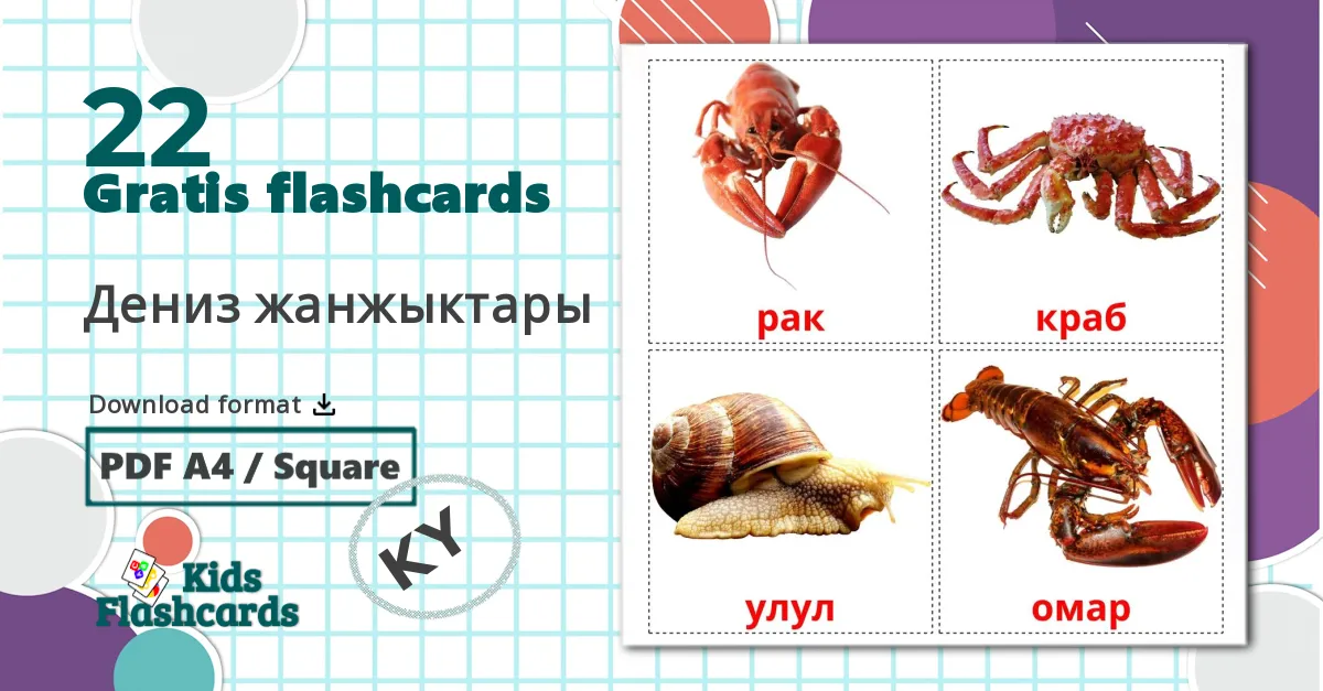 22 Дениз жанжыктары billedkort for børn