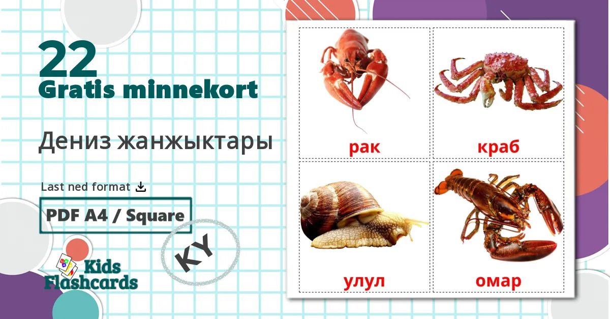 22 Дениз жанжыктары bildekort