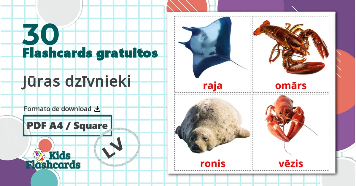 30 Flashcards de Animais Marinhos