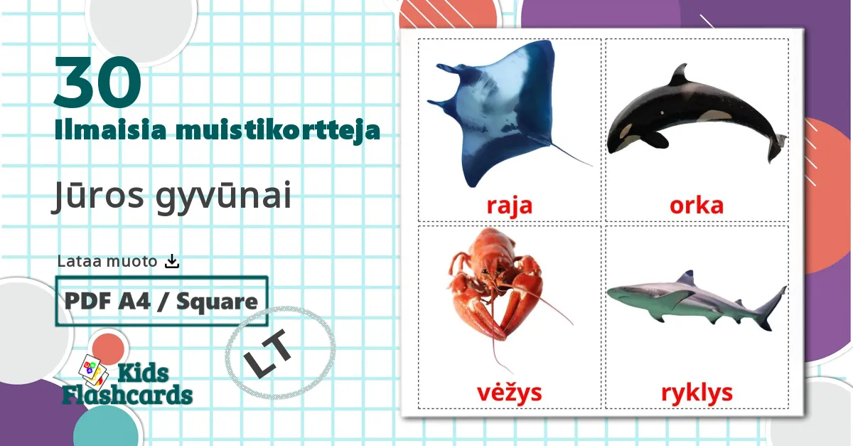 30 Jūros gyvūnai  lasten kuvakortit