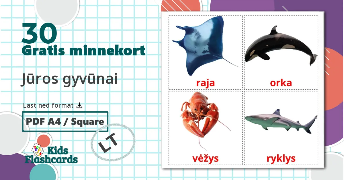 30 Jūros gyvūnai  bildekort