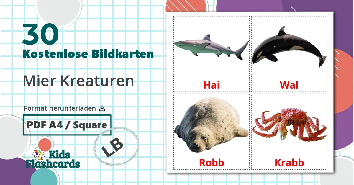 30 Bildkarten für Meerestiere