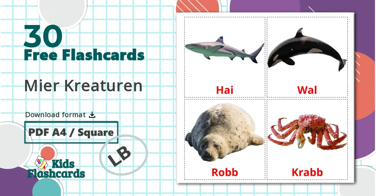 30 Zeedieren flashcards