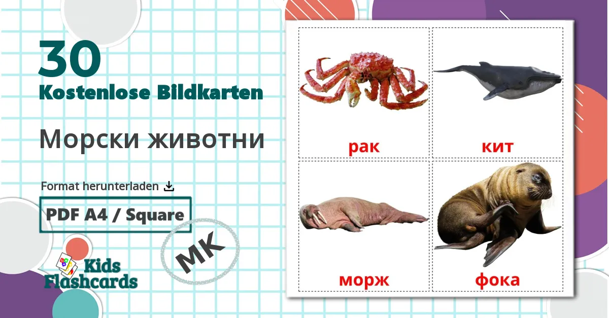 30 Bildkarten für Морски животни