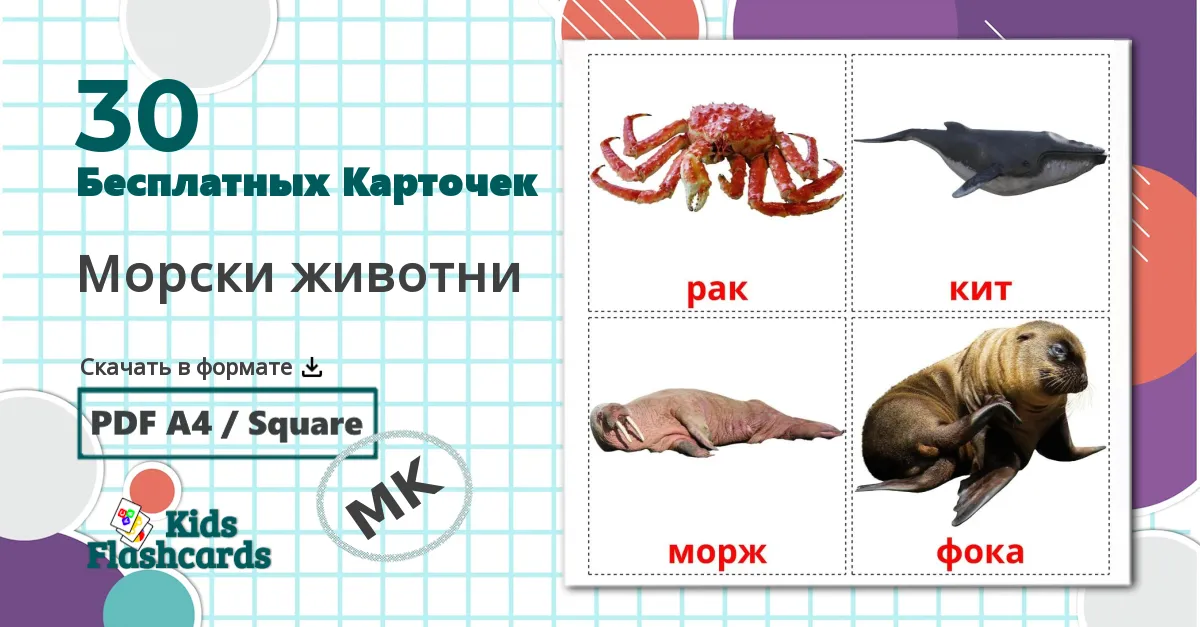 30 Карточки Домана Морски животни