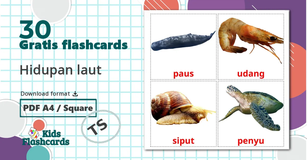 30 Hidupan laut billedkort for børn