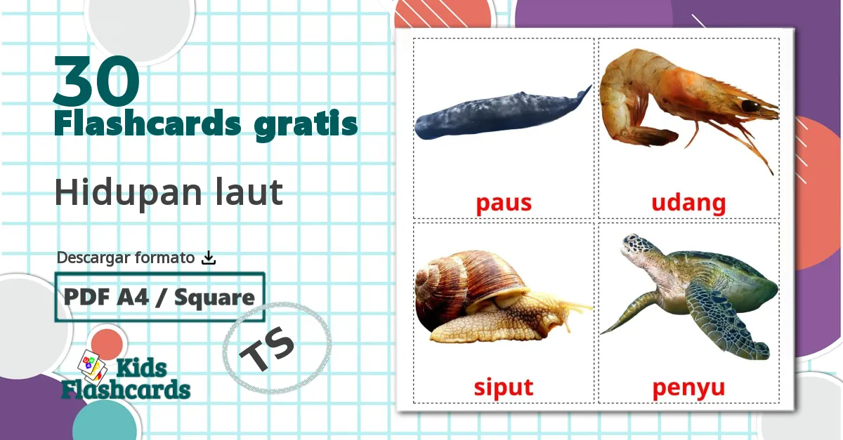 30 tarjetas didacticas de Hidupan laut