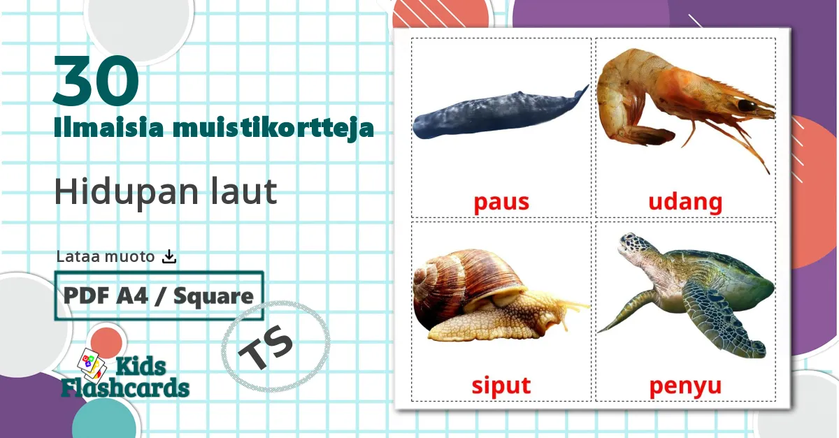 30 Hidupan laut lasten kuvakortit