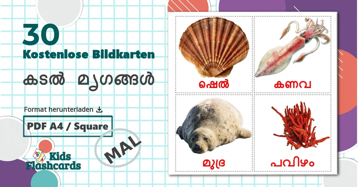 30 Bildkarten für കടൽ മൃഗങ്ങൾ