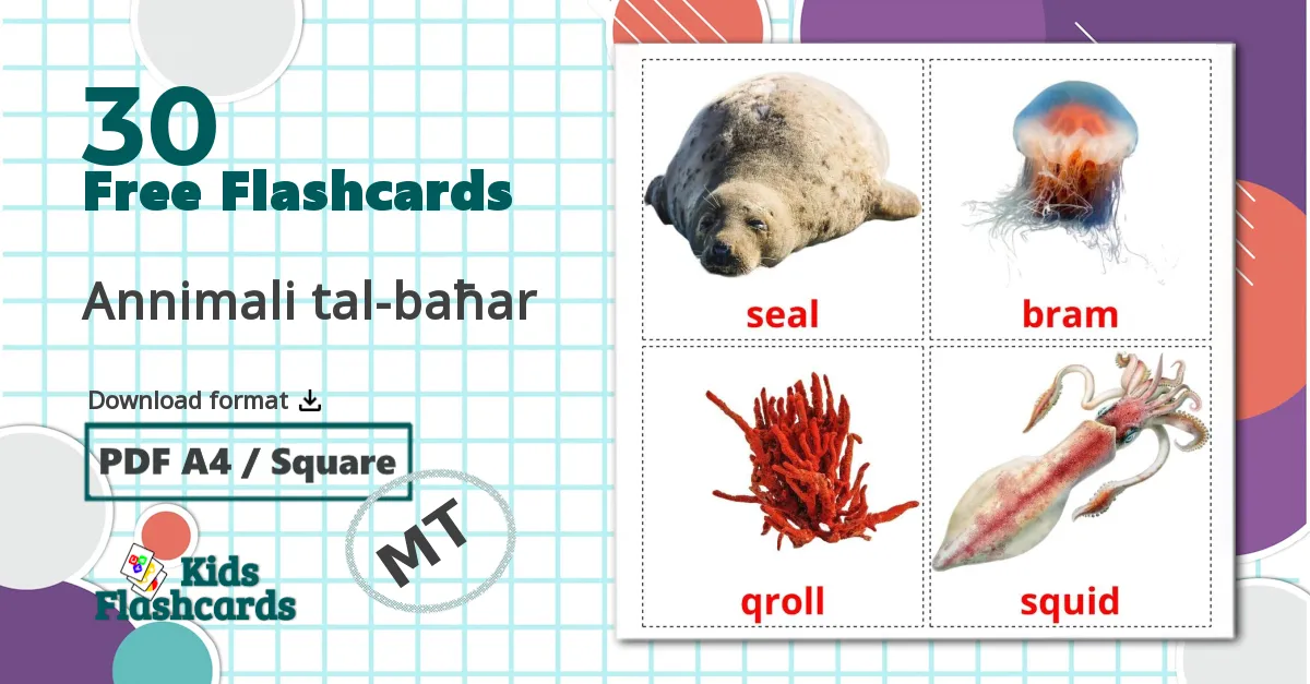 30 Annimali tal-baħar flashcards