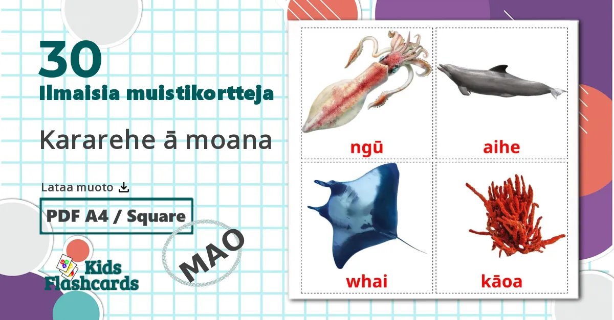 30 Kararehe ā moana lasten kuvakortit