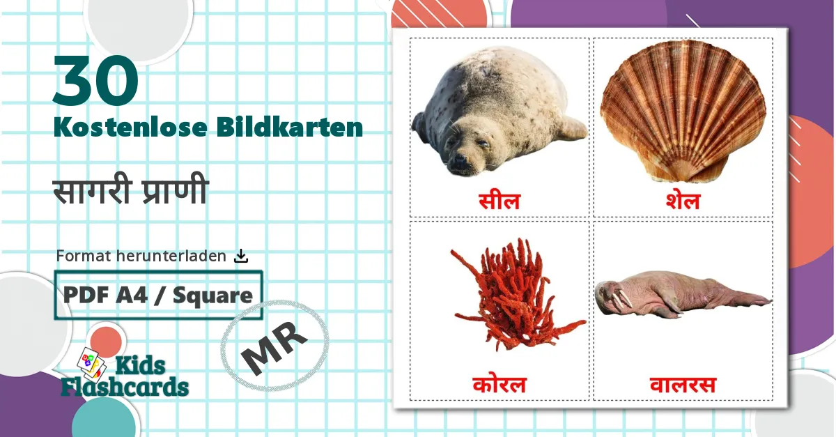 30 Bildkarten für Meerestiere