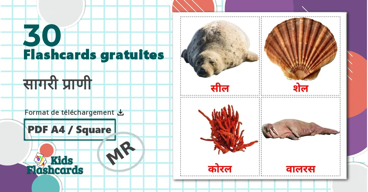 30 Imagiers Les Animaux Marins