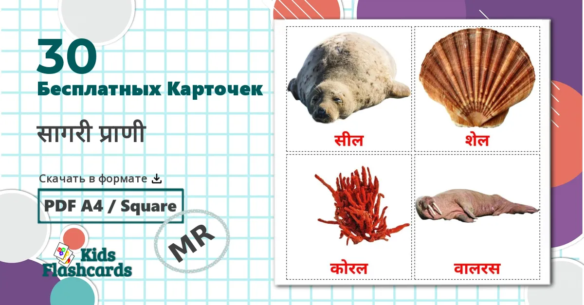 30 Карточки Домана Морские животные