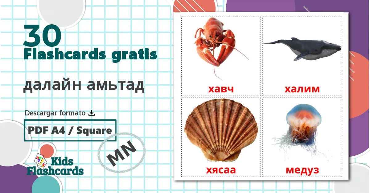 30 tarjetas didacticas de далайн амьтад