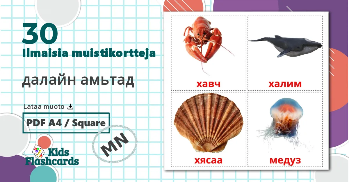 30 далайн амьтад lasten kuvakortit