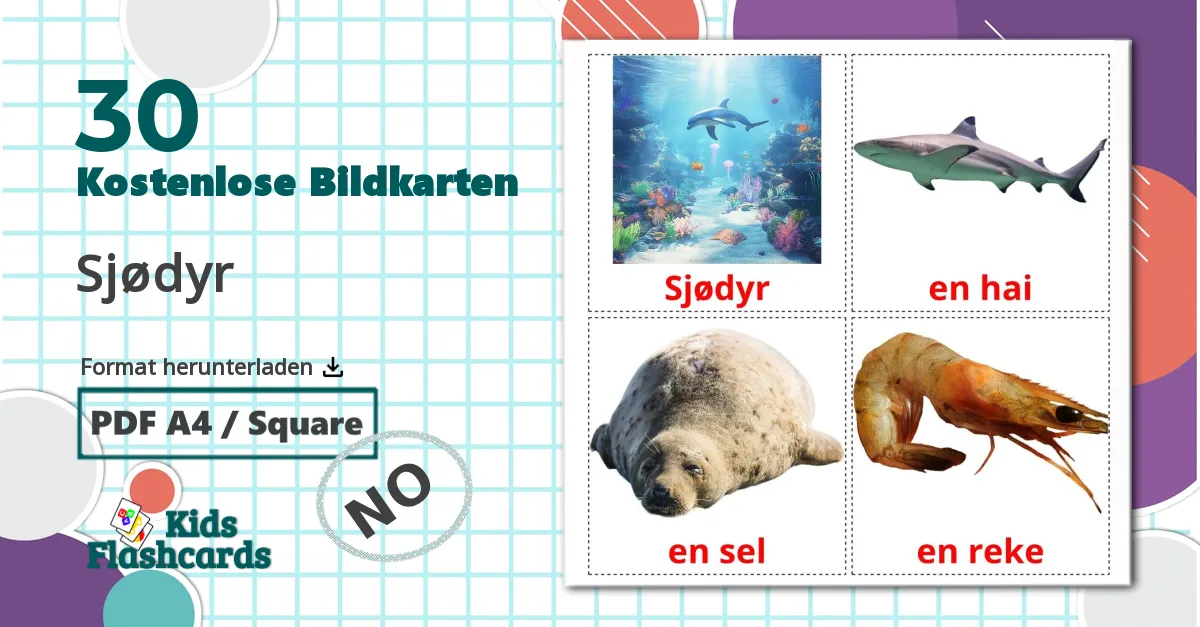 30 Bildkarten für Sjødyr